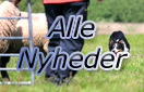 Alle Nyheder